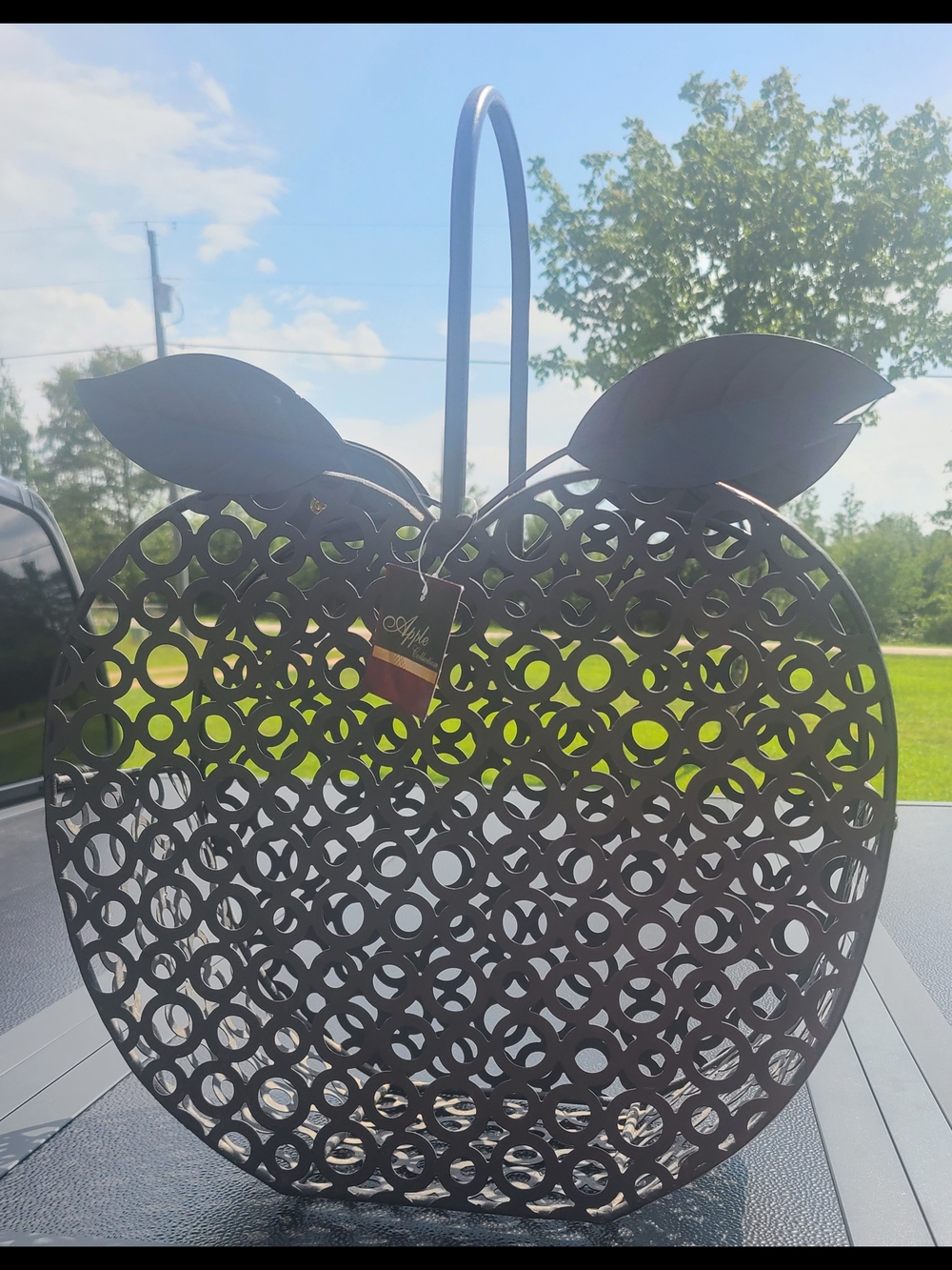 Apple-Shaped Decorative Metal Basket Accent - Black
